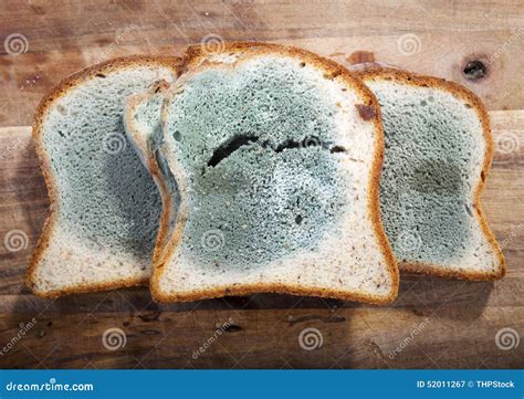 what causes mold on bread.